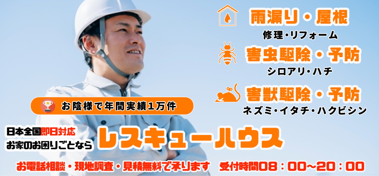 シロアリ・害虫駆除ならレスキューハウス